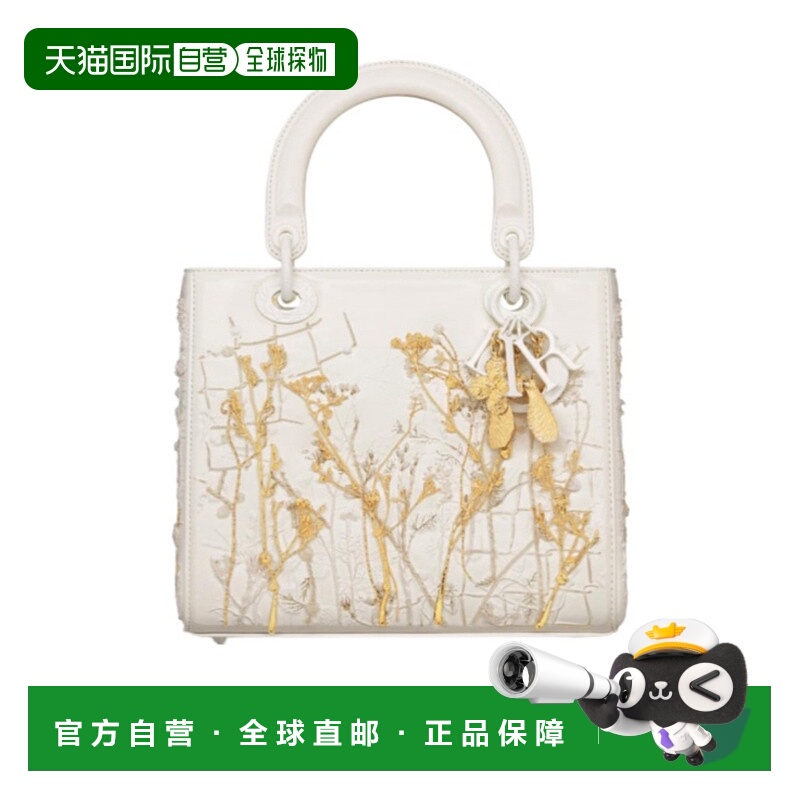 香港直邮Dior 中号Lady Dior手提包 M0565WQBHX迪奥单肩包