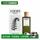 欧洲直邮LOEWE罗意威男士 香水圆舞曲EDP清新自然留香50ml