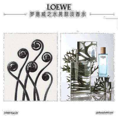欧洲直邮Loewe/罗意威之水彩虹系列男女士香水EDT新款正品