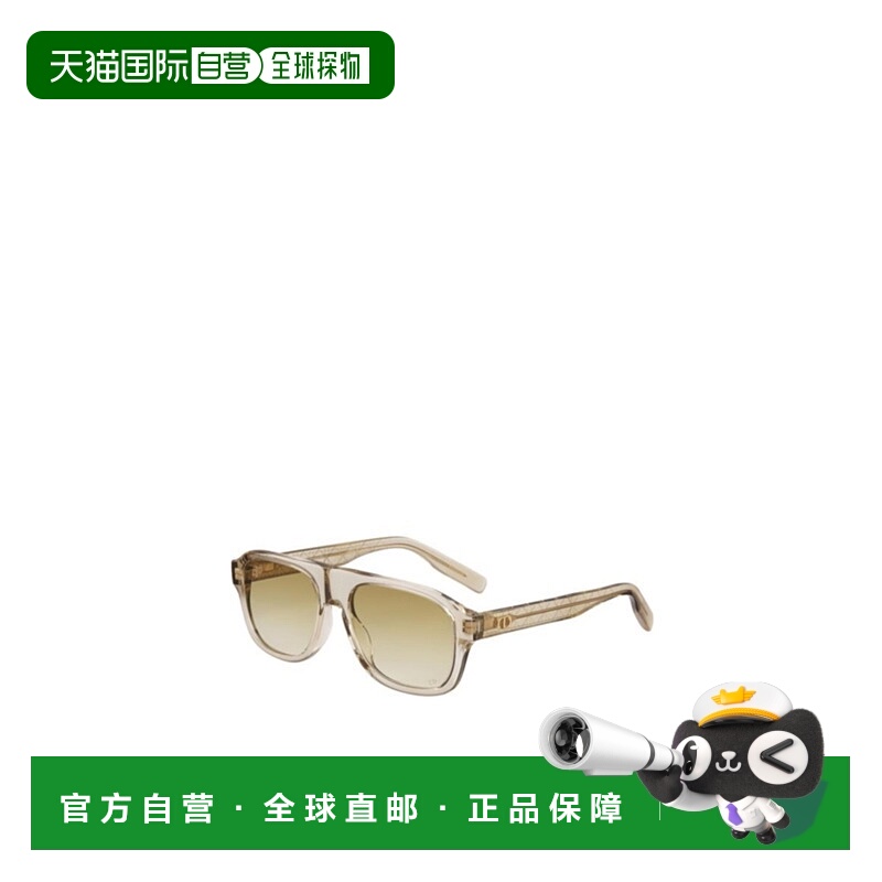 香港直邮Dior CDICON 太阳镜 ICONA1IXR迪奥