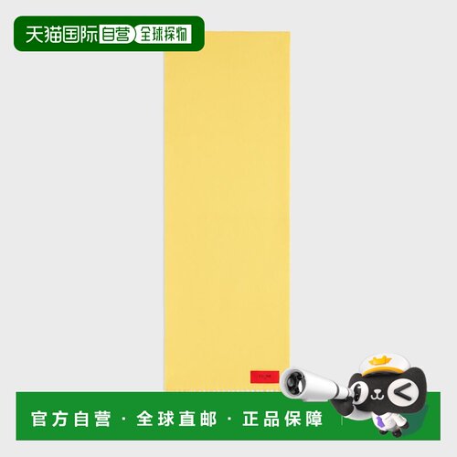 欧洲直邮Celine (2025) 羊绒围巾