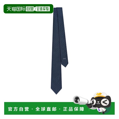 香港直邮Dior 尖头领带 59C1047B6009迪奥