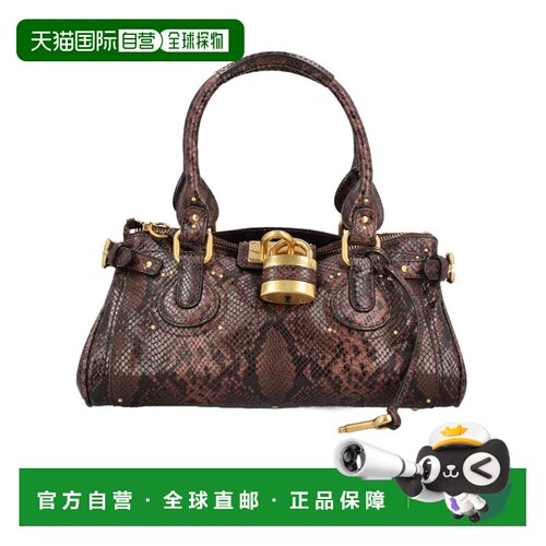 Chloe 图案单肩包 CH26AS802S76 【付后1h可退】