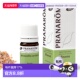 欧洲直邮法国 5ml bio PRANAROM普罗芳精油乳香 encens