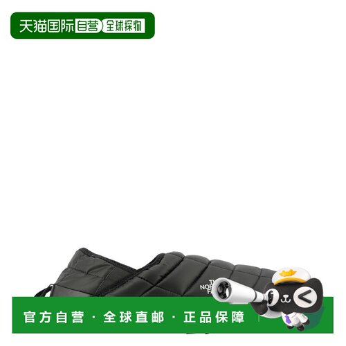 欧洲直邮the north face/北面 男士 时尚休闲鞋