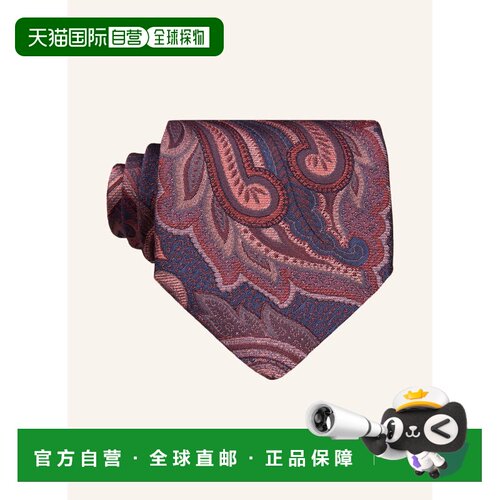 欧洲直邮etro/艾绰 男士 领带