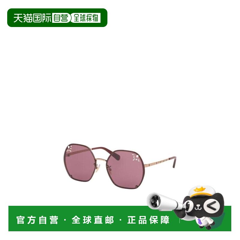 香港直邮Coach蔻驰 徽标太阳镜 0HC7095H93316G配饰