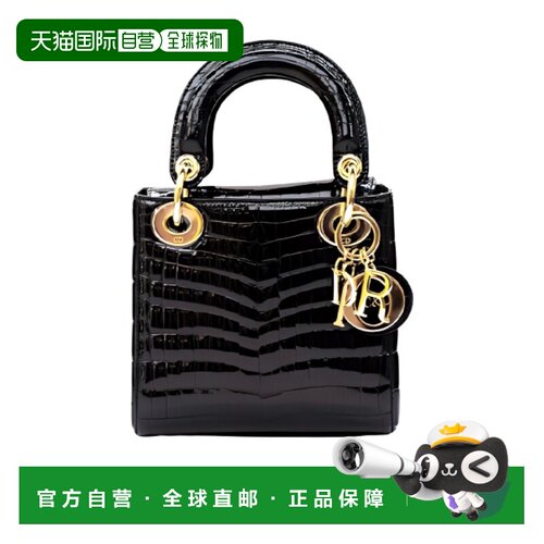 Dior 徽标手提包 DM-CV-V53