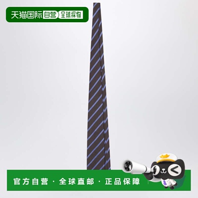 香港直邮The Frankie Shop 女士 LENE 条纹棕色领带 NTFS21170PL2