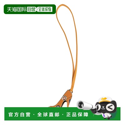 香港直邮SALVATORE FERRAGAMO 女士手提包 221141TIRASSEGNO79346