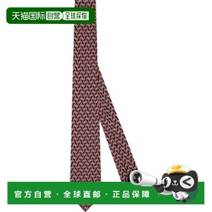 61C1047B6024 领带 香港直邮Dior Entrelac