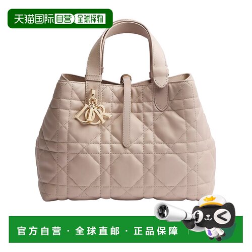 1h可退 Dior 中号 Dior Toujours手提包 M2821OSNW托特包单肩包
