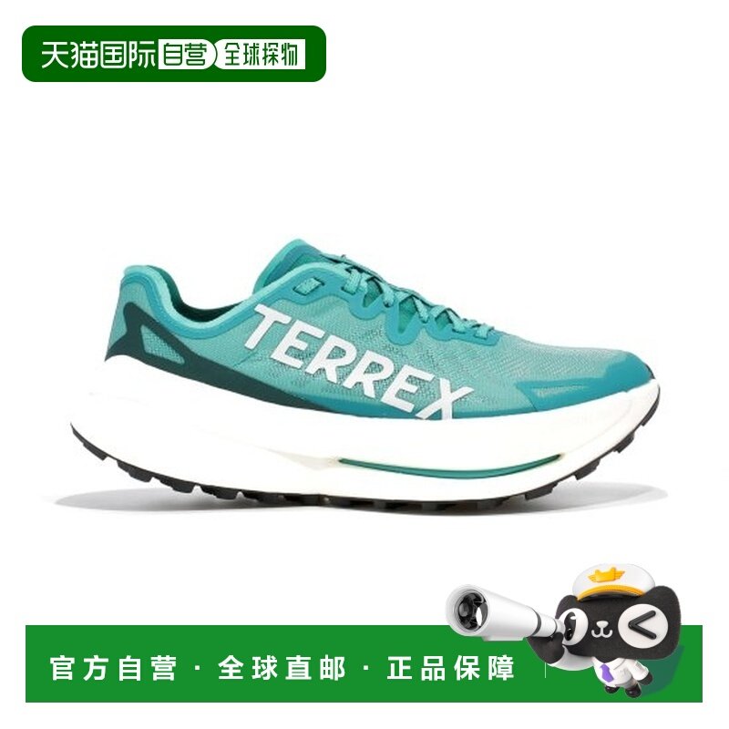 自营欧洲直邮ADIDAS阿迪达斯 TERREX男士湖蓝色/白色网布缓震跑鞋