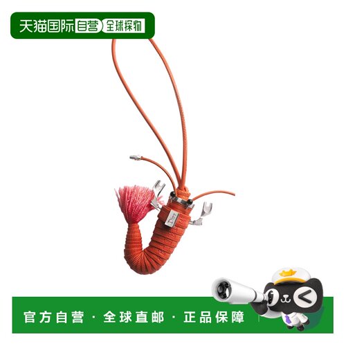1h可退 Dior 小龙虾手袋吊饰 2ESKH662GTR
