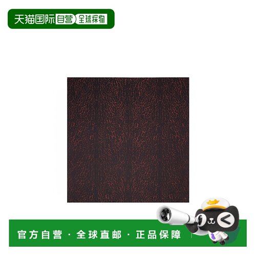 香港直邮Saint Laurent 图案丝巾 8412593YS36