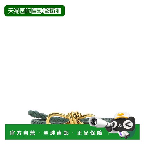 香港直邮BOTTEGA VENETA 女士腰带 766135V0HW13268 AW2024