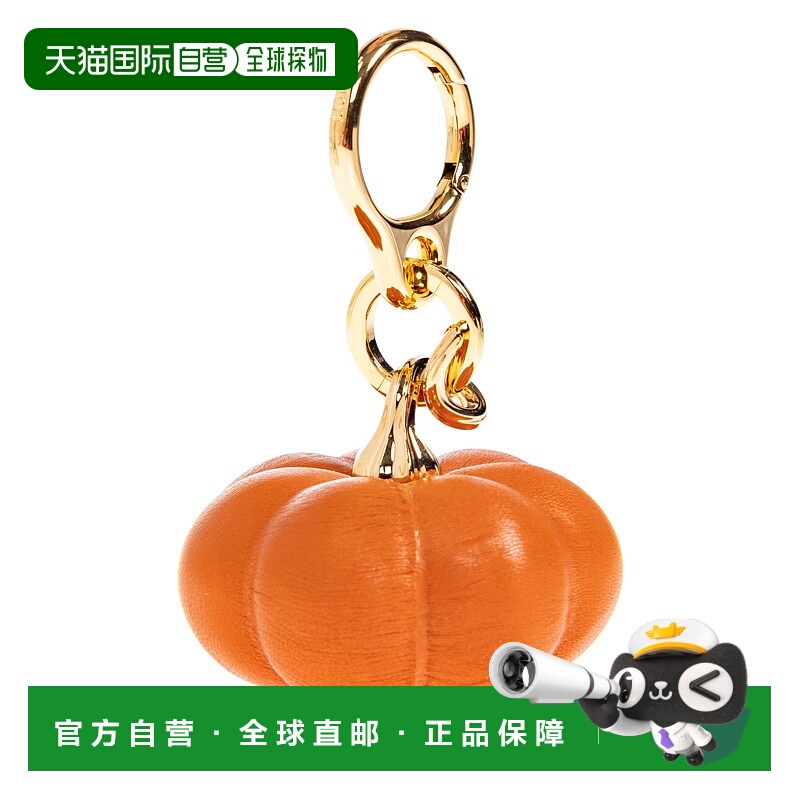 1h可退 欧洲直邮loewe 女士 单肩包罗意威手提包