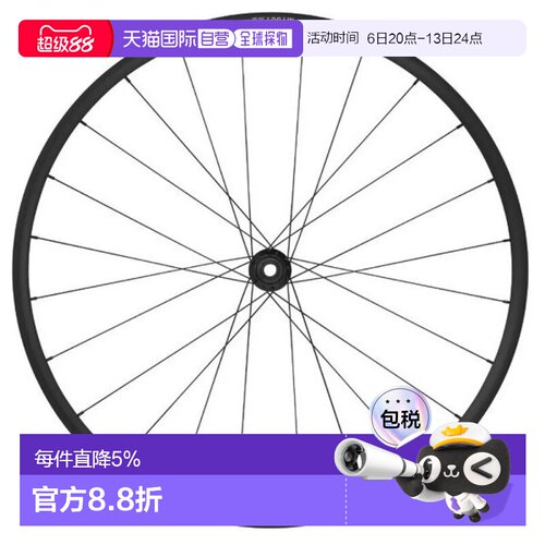 欧洲直邮SHIMANO MT601 12速 29英寸 CL碟刹山地车后轮
