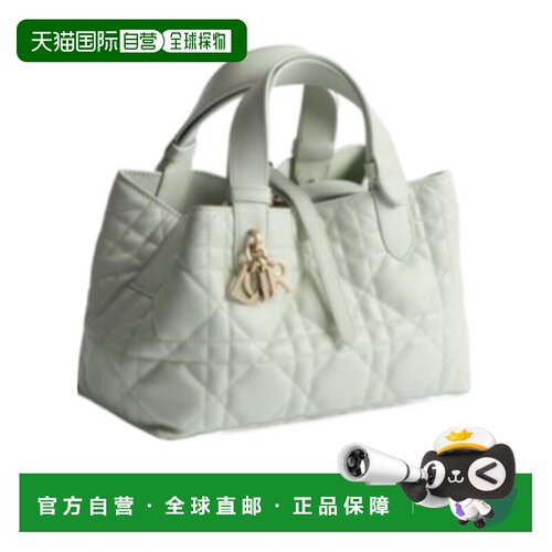 Dior Dior Toujours 小号手提包 M2822OSNW