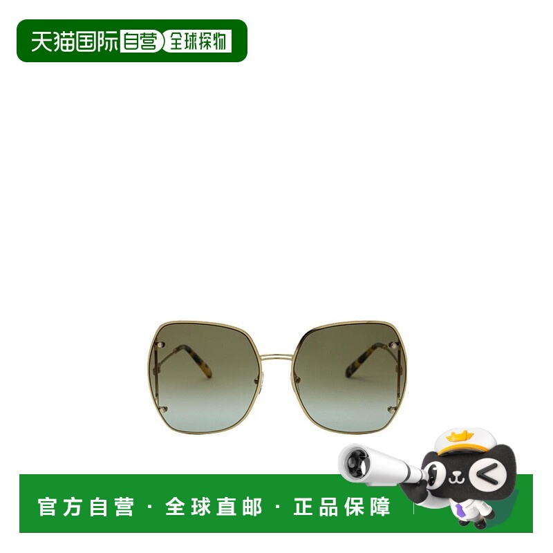 香港直邮Salvatore Ferragamo 徽标太阳镜 SF202S