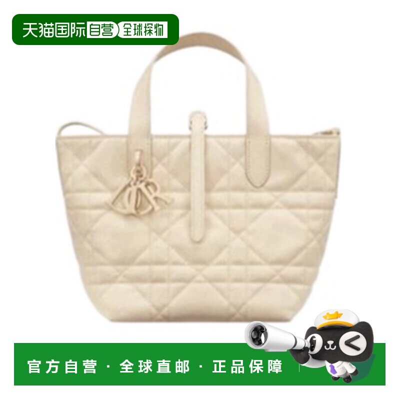 香港直邮Dior 小号 Dior Toujours 竖版手袋 M2835OSNW