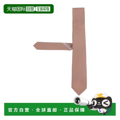 Salvatore Ferragamo 尖头领带 351441