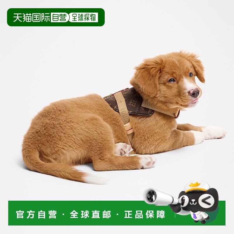 1h可退 欧洲直邮LV路易威登 棕色帆布老花图案宠物胸背带牵引绳