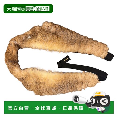 1h可退 欧洲直邮PRADA 女士围巾 57051SOOO17WYF098L AW2025 棕色