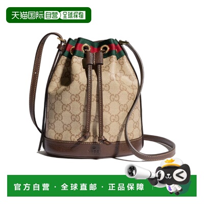 1h可退 香港直邮GUCCI 女士斜挎包 876060FAF8R8547 CO 花色 迷你