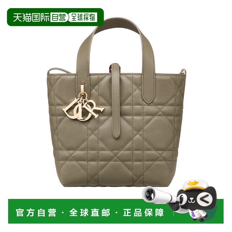 香港直邮Dior 小号 Dior Toujours 纵向手提包 M2835OSNW迪奥