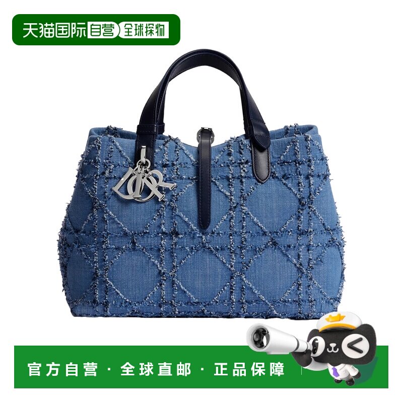 Dior 中号 Dior Toujours 手提包 M2873PDKD