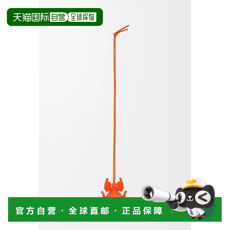 1h可退 欧洲直邮LOEWE 罗意威 25秋冬 C621232XH0-5959 男士 挂饰