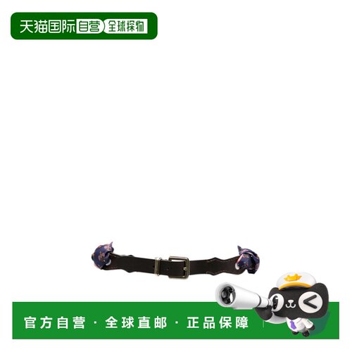 香港直邮ETRO 女士腰带 WP3B0104AK19LX0883 AW2026 花色 可调节