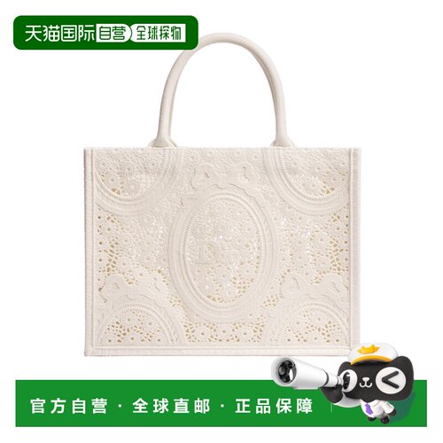 Dior 中号 Dior Book Tote 单肩包 M1354OEUB