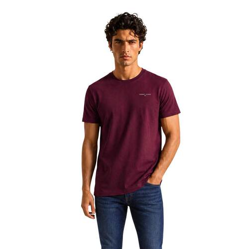 香港直邮TOMMY HILFIGER 男士T恤 DM0DM21780V11 AW支付后1h可退