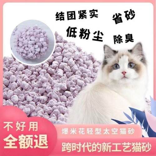 球形太空猫砂植物天然高