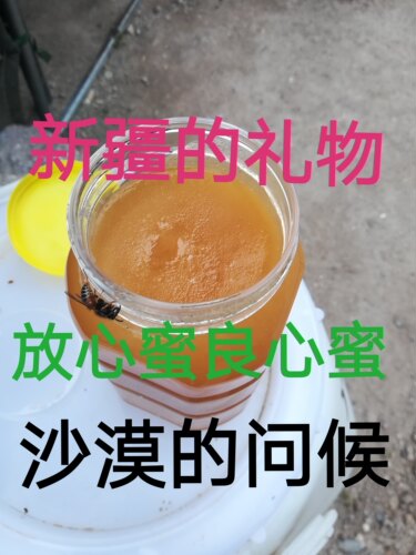 西域自产保真2斤包邮新疆黑蜂蜜