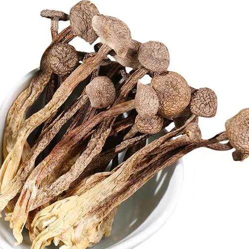 新疆土特产野蘑菇煲汤炒菜拌面农家鹿茸菇野生菌500克干品包邮,粮油调味/速食/干货/烘焙,特色干货及养生干料,淘宝优惠券,粉丝福利购,淘宝优惠卷