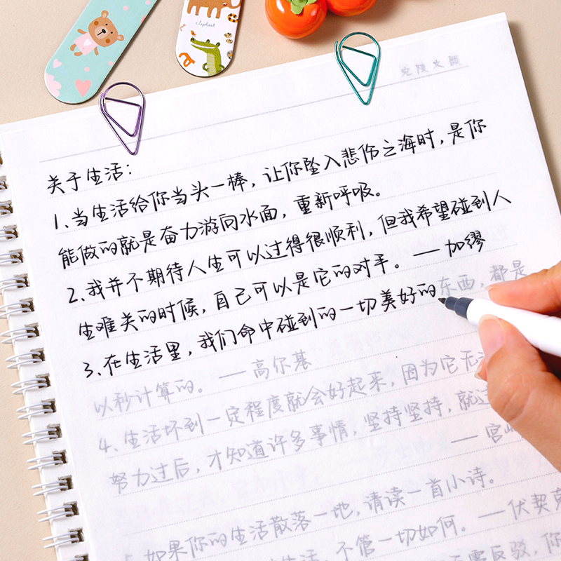 行楷名人名言语录钢笔临摹练字帖
