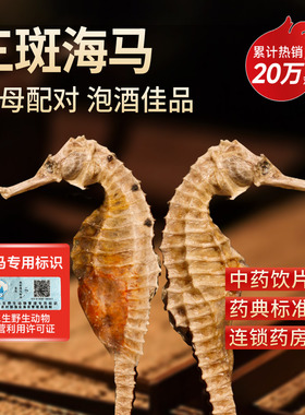 海马干货一对中药材配对泡酒海龙海马煲汤料公母药材中药饮片三斑