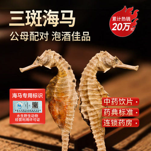 海马中药饮片干货一对泡酒煲汤