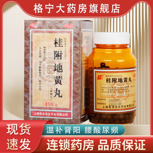 1瓶 480丸 盒腰膝酸软肢冷尿频温补肾阳 浓缩丸 上龙桂附地黄丸