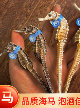 海马干货中药材配对泡酒煲汤料包小海马批发三斑一公一母配对CN