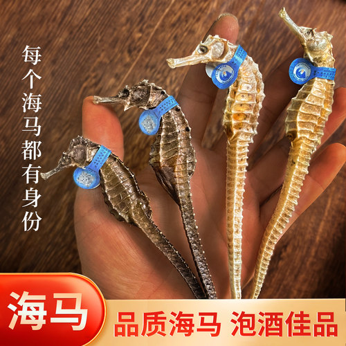 海马干货中药材配对泡酒煲汤料包小海马批发三斑一公一母配对CNWX