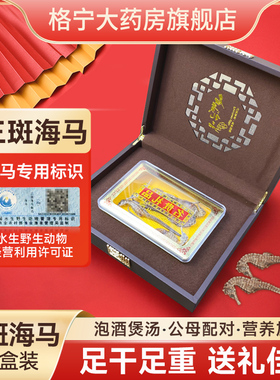 海马干货大海马三斑海马公母配对中药饮片泡酒高档送礼
