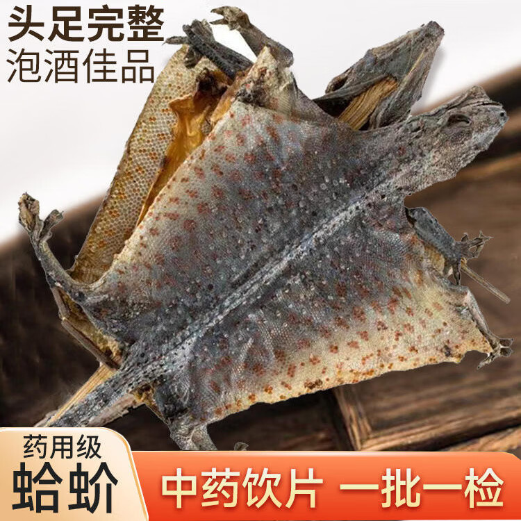 蛤 蚧干货一对蛤芥中药补肺益肾定喘大蛤蚧蛤蚧酒蛤蚧粉中药饮片