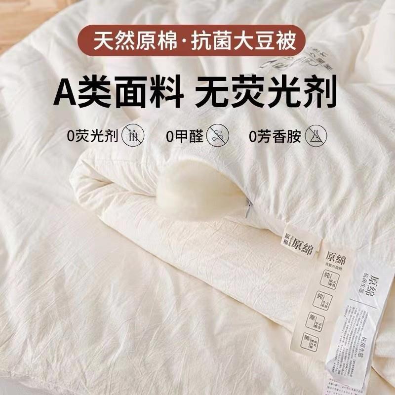 Hotel quilt soybean quilt warm in autumn and winterA类大豆被