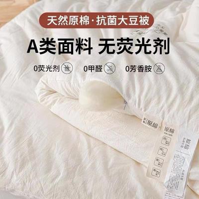 Hotel quilt soybean quilt warm in autumn and winterA类大豆被