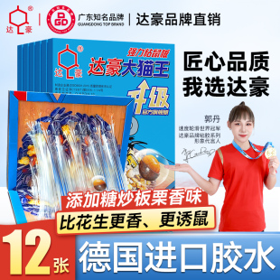 双引诱达豪糖炒板栗味老鼠粘强力粘鼠板胶粘大老鼠贴家用坚果图案