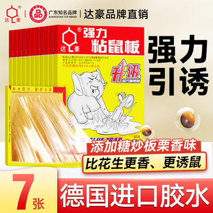 达豪老鼠粘强力粘鼠板胶粘大老鼠贴家用室内正品 扑捉器灭捕鼠神器
